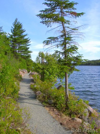 jordan_pond_06080020.JPG   -   Part of the path which loops all the way around Jordan Pond, Acadia National PArk, Maine