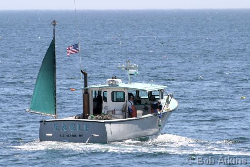 lobster_boat_IMG_2573.JPG   -   Lobster boats are a frequent sight from the shore of Acadia National Park.