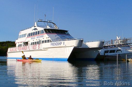 bar_harbor_06070048.JPG   -   Whalewatching boat, Bar Harbor. Whales can be seen about 20 miles offshore.