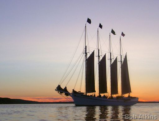 bar_harbor_06070077.JPG   -   Sailing ship returning to Bar Harbor after a sunset cruise