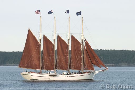 bar_harbor_IMG_2485.JPG   -   This sailing ship leaves several times daily from the dock in Bar Harbor for tours around Frenchman's Bay