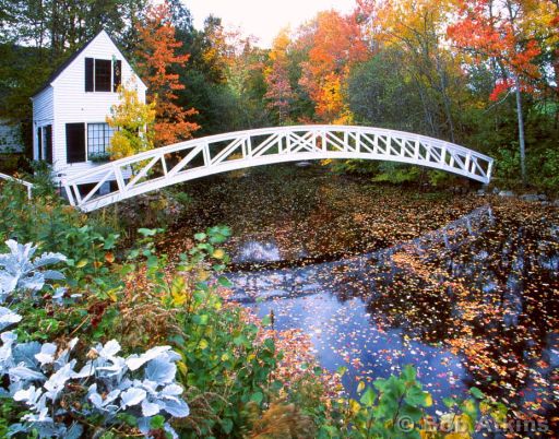 bridge_TEMP0472.JPG   -   Historic Bridge, Somesville, Maine