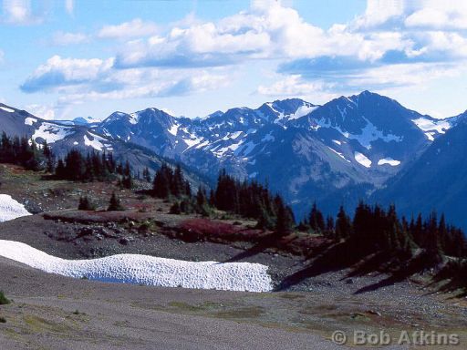 mountains_TEMP0488.JPG   -   Olympic National Park, Washington