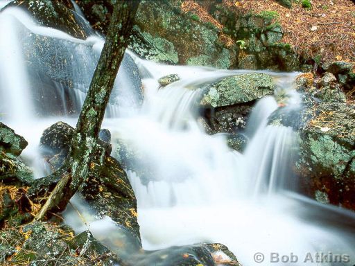 waterfall_TEMP0473.JPG   -   Waterfall, Acadia National Park, Maine