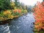 Fall foliage, Maine