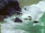 Ocean surf on beach, California coast