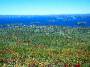 View from Cadillac mountain over Bar Harbor, Acadia National Park, Maine