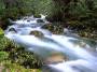 River, North Cascades National Park, Washington
