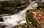 Waterfall and fallen leaves, Acadia National Park, Maine