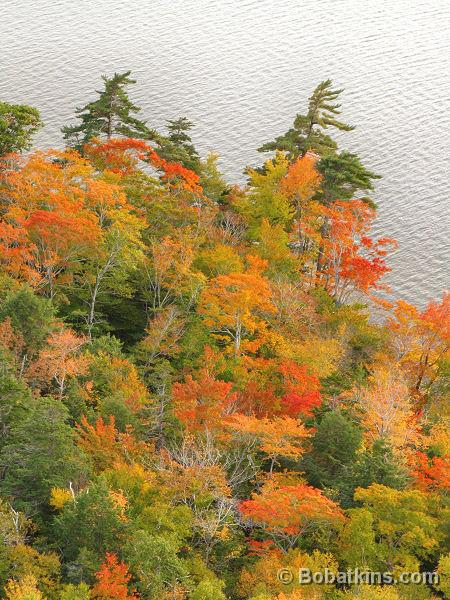 Fall Foliage Maine