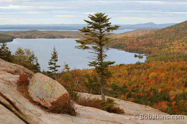 Fall Foliage Maine