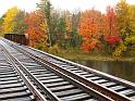 Fall foliage near Ellesworth, Maine