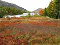 Fall Foliage Maine