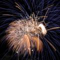 Canon EF 17-85/4-5.6 IS USM
<br><br>
Keywords: fireworks, celebration, July 4th, patterns, abstract
<BR><BR> 