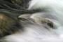 This series of images was made in Acadia National Park, near Bar Harbor, Maine in the Fall of 2005 after a particularly rainy period. When the rain ended I went out to photograph a few streams which were in full flow. I've been back to the same area several times since, but never seen them flowing like this.