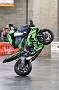 Stunt Rider