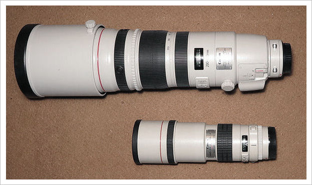 Canon EF 200-400/4L IS USM Extender Hands-on Review