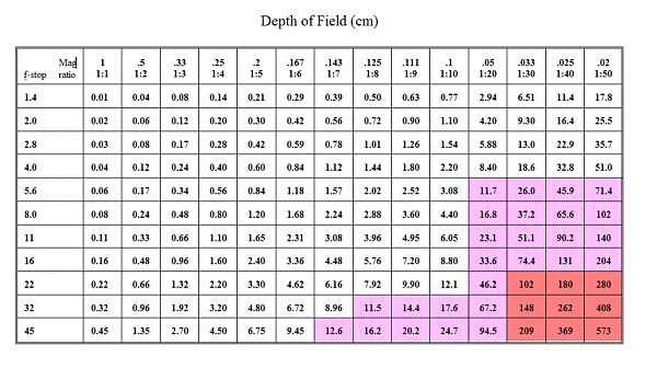 dof_table2.jpg (111473 bytes)